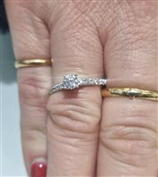 Anillo Gilma Gioielleria  Mujer in Oro Diamante 0.33 Ct ANOR-119-286 - ANOR-119-286